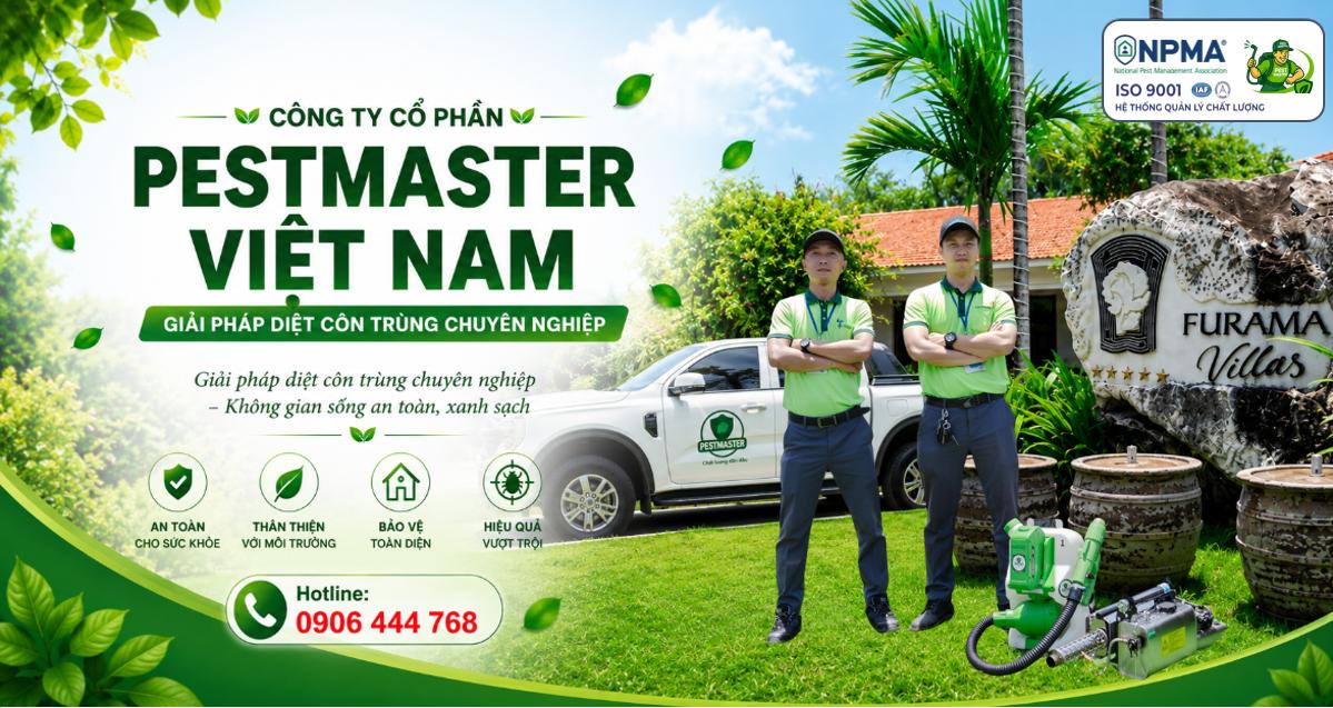 Dịch vụ kiểm soát mối & mọt chuẩn an toàn công trình