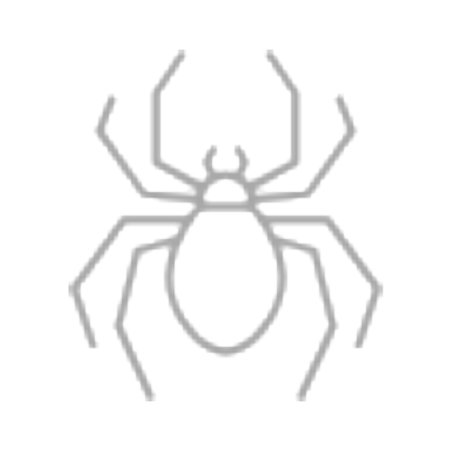 Nhện