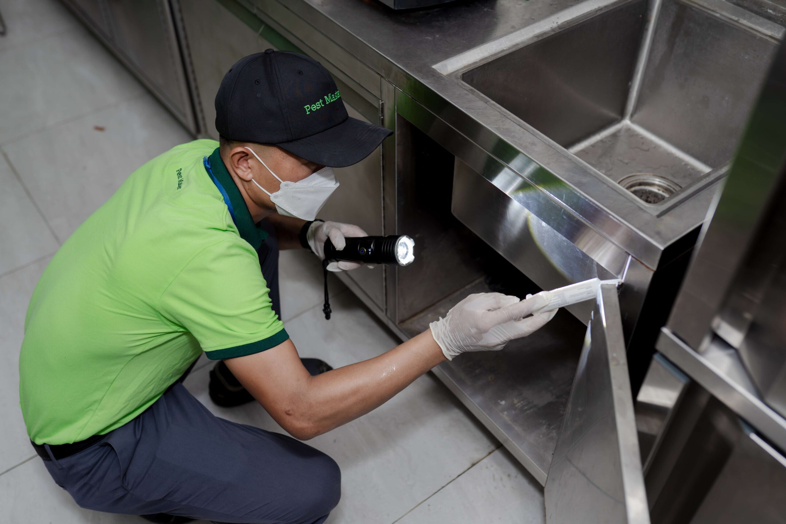 Pest Master VN Commercial Cockroach Control